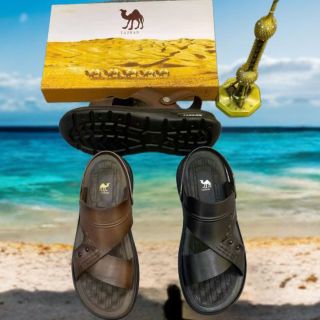 Sandan da xịn con lạc đà