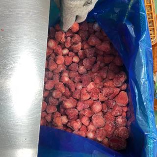 DÂU TÂY ĐÔNG LẠNH - DÂU CẤP ĐÔNG SỐ LƯỢNG LỚN giá sỉ
