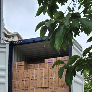 Máy tính Nasun: Mời hợp tác phân phối dây cáp mạng tại các tỉnh thành trên toàn quốc
