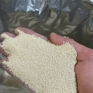 NẤM MEN ACTISAF INST+ ( Thùng 25 Kg)