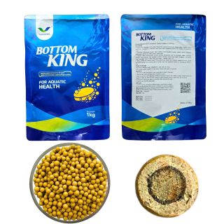 VI SINH DẠNG HẠT BOTTOM KING, CHUYÊN XỬ LÝ ĐÁY AO