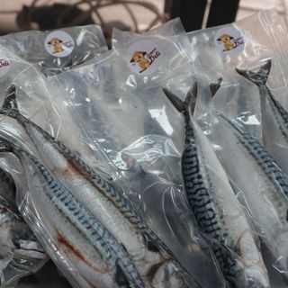 CÁ SABA NAUY CẤP ĐÔNG 0.4KG - 0.6KG