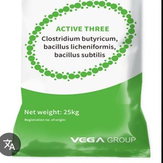 ACTIVE THREE