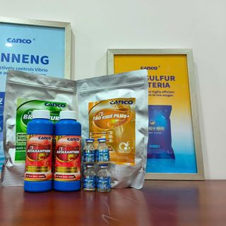 THÙNG ASTAXANTHIN 20 CHAI - GIẢM STRESS TĂNG MÀU CHO TÔM- TÔM MAU ĂN CHÓNG LỚN