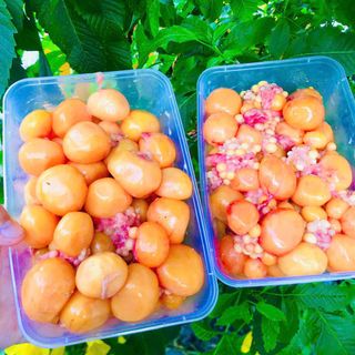 TRỨNG GÀ NON HỘP NET 8