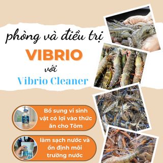 VIBRIO CLEANER - VI SINH TĂNG CƯỜNG SỨC ĐỀ KHÁNG CHO TÔM - AN TOÀN VÀ HIỆU QUẢ