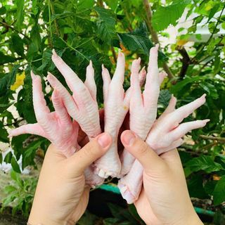 CHÂN GÀ CÓ XƯƠNG