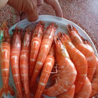 Tạo sắc tố đỏ tôm, cá Astaxanthin 10% ( Lẻ 1kg)
