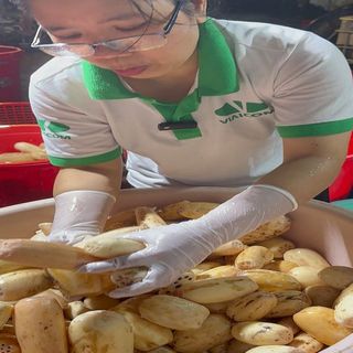 Cần tìm nhà phân phối, đại lý cho tinh bột củ sen nguyên chất