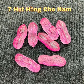 Sỉ Hạt Đậu 7 Màu Phong Thủy, Chiêu Tài , May Mắn