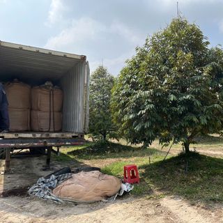 Phân gà Nhật Bản loại viên nở - giá sỉ - giá bán buôn