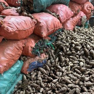 Tinh bột nghệ đen nguyên chất