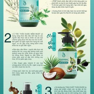 Dầu Gội Giảm Gãy Rụng Tóc - DHerbal Shampoo (300ml)