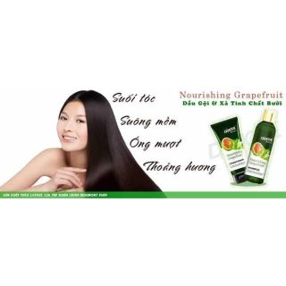 DẦU XÃ MỀM MƯỢT TÓC CAO CẤP ĐỘC QUYỀN DAMODE