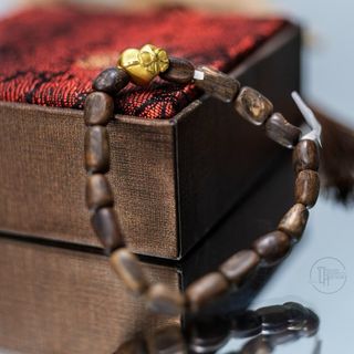 TRẦM HƯƠNG PHILIP PHONG THỦY VIP