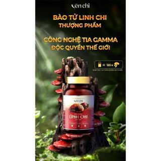 BÀO TỬ NẤM LINH CHI PHÁ VÁCH HỦ 60 VIÊN
