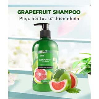 GRAPEFRUIT SHAMPOO DẦU GỘI BƯỞI DAMODE CHAI 500ML Hữu cơ