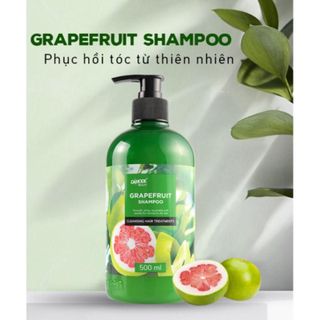 GRAPEFRUIT SHAMPOO DẦU GỘI BƯỞI DAMODE CHAI 500ML Hữu cơ
