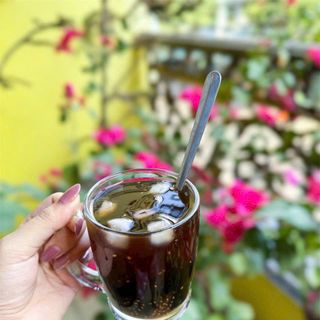 SÉT TRÀ SÂM BÍ ĐAO - THANH LỌC CƠ THỂ, KHỎE ĐẸP TỪ BÊN TRONG 400G - WINNIE HOUSE