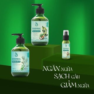 Combo Ngăn Ngừa Sạch Gàu Giảm Ngứa DHerbal Hữu cơ