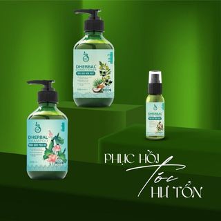 Combo dầu gội Phục Hồi Tóc Hư Tổn DHerbal
