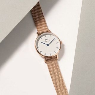ĐỒNG HỒ NỮ CAO CẤP DANIEL W PETITE ROMAN NUMERALS DÂY LƯỚI MẶT TRÒN