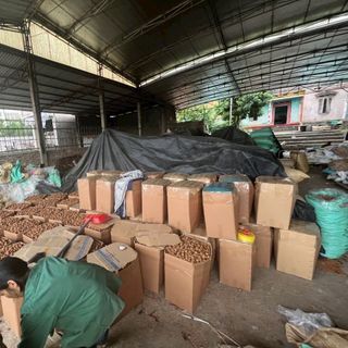 Vải sấy dẻo lục ngạn