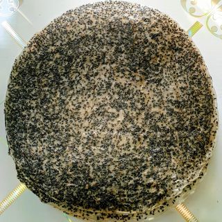 Bánh mè cốt dừa size 35cm, SL: 50cái