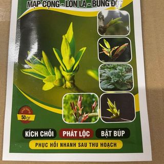 VUA BẬT CHỒI  KÍCH CHỒI,PHÁT LỘC,BẬT BÚP,MẬP CỌNG GÓI 50GR