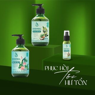 Combo dầu gội dưỡng Tóc DHerbal Hữu cơ