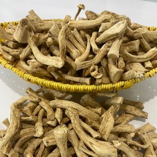 Chân nấm đông cô Đà Lạt