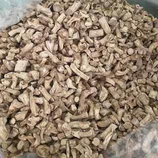 Chân nấm đông cô Đà Lạt
