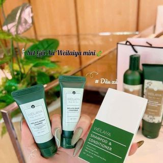 Dầu gội gừng welaiya