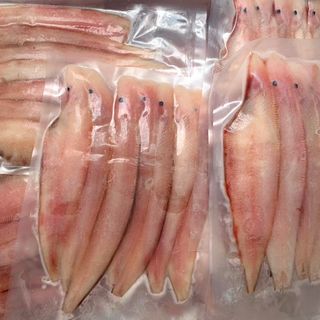 [ 1kg / 12-14 con ] Khô cá lưỡi trâu 1 nắng | Ship TpHCM | Vị mặn nhạt vừa ăn | Đảm bảo chất lượng