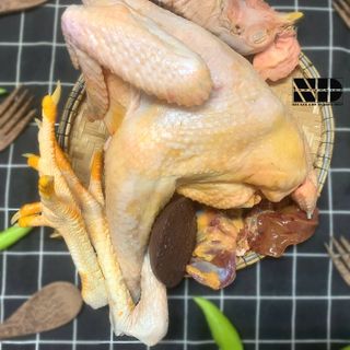 [ 2.2kg - 2.3kg/ con ] Gà ta nguyên con ( Gà đồi ) | Thịt nóng | Hàng làm sẵn sạch sẽ, tiện lợi | Thịt sạch, chất lượng | Cân ký