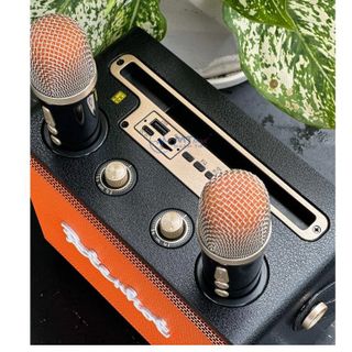 Loa Karaoke Bluetooth Peterhot A107W 2025 - Không Dây, Âm Thanh Đỉnh, Kèm 2 Mic TECHHIGH