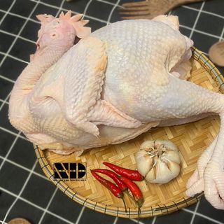 [ 1.4kg - 1.5kg ] Gà dai nguyên con ( Gà đẻ ) | Tươi | Thịt sạch | An toàn chất lượng