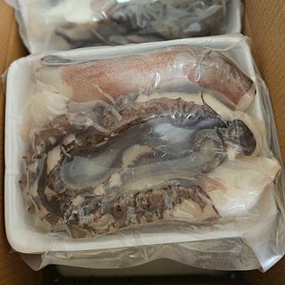 [ 800gr / khay ] Râu bạch tuột đai dương | Tươi ngon, không tanh, sạch sẽ | Giòn giòn ,dai dai, sần sật
