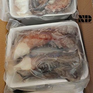 [ 800gr / khay ] Râu bạch tuột đai dương | Tươi ngon, không tanh, sạch sẽ | Giòn giòn ,dai dai, sần sật