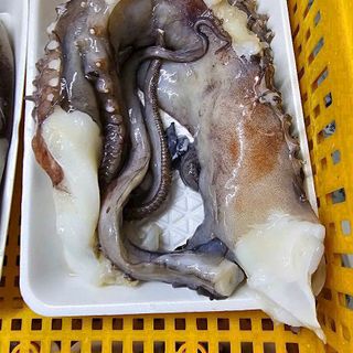 [ 800gr / khay ] Râu bạch tuột đai dương | Tươi ngon, không tanh, sạch sẽ | Giòn giòn ,dai dai, sần sật giá sỉ