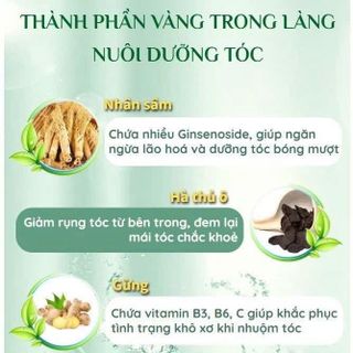 Dầu Gội nhuộm thảo dược hộp 10 gói