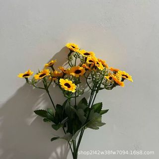 Hoa nhựa - hoa bất tử nhiều màu