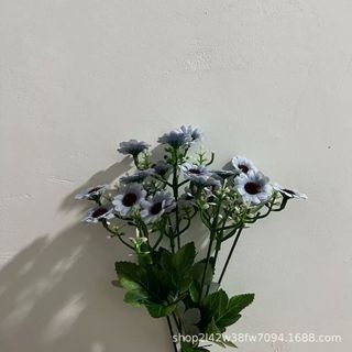 Hoa nhựa - hoa bất tử nhiều màu