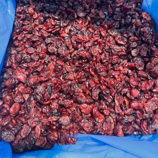Nam Việt Quất - Nam Việt Quất