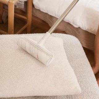 Cây Lăn Bụi 24CM Cán Dài Inox Thu Gọn