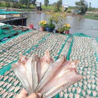 KHÔ CÁ LÓC CỬNG PHƠI DẺO – ĐẶC SẢN MIỀN TÂY, VỊ NGON QUÊ NHÀ - 500G - WINNIE HOUSE