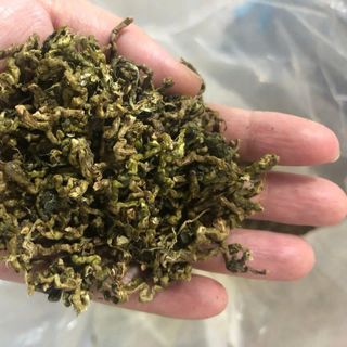 Trà Olong (ôlong) Cọng - 1kg - Bảo Lộc Pha Trà Đá siêu rẻ.