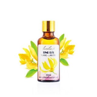 Tinh Dầu Hoa Ngọc Lan Tây Lam Hà Ylang Oil (10ml)