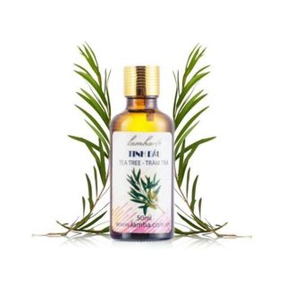 Tinh dầu Tràm Trà Úc Lam Hà Tea Tree (10ml)