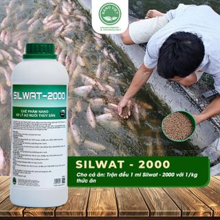 TÌM KIẾM ĐẠI LÝ PHÂN PHỐI CHẾ PHẨM NÔNG NGHIỆP - SILWAT